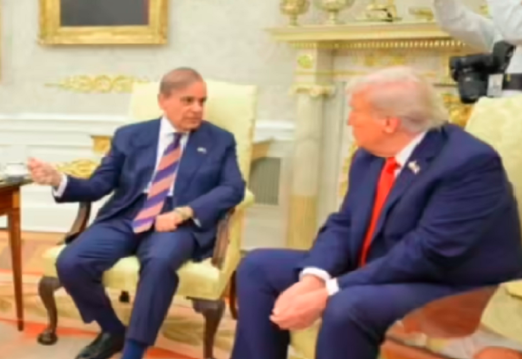 trump pak